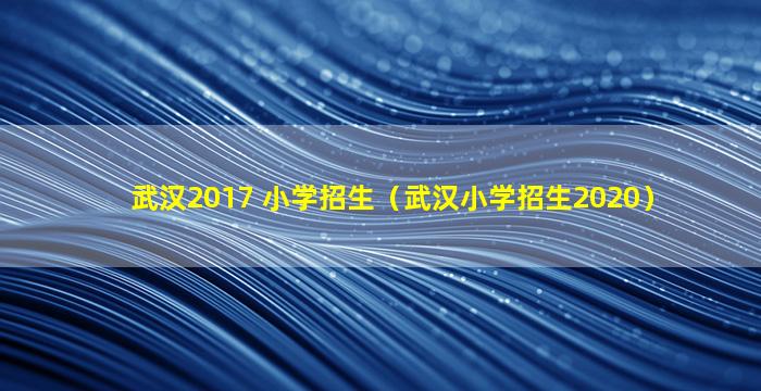 武汉2017 小学招生（武汉小学招生2020）